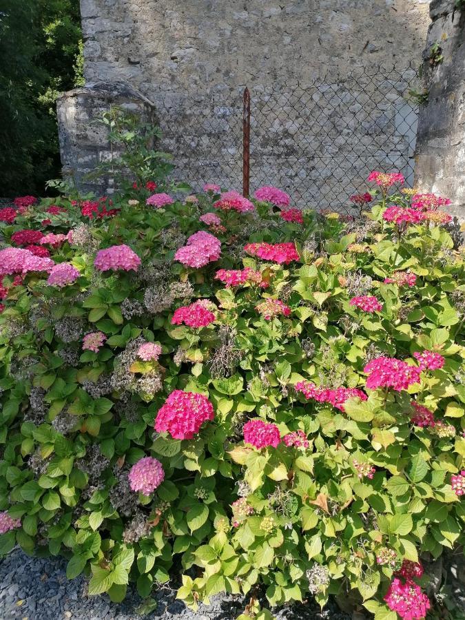 Maison Renovee En Pierres Sejour Spacieux Avec Jardin Et Terrasse Amenagee Pres Omaha Beach & Bayeux A 5Mn De La Mer Tous Commerces Commes ภายนอก รูปภาพ