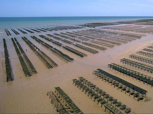 Maison Renovee En Pierres Sejour Spacieux Avec Jardin Et Terrasse Amenagee Pres Omaha Beach & Bayeux A 5Mn De La Mer Tous Commerces Commes ภายนอก รูปภาพ