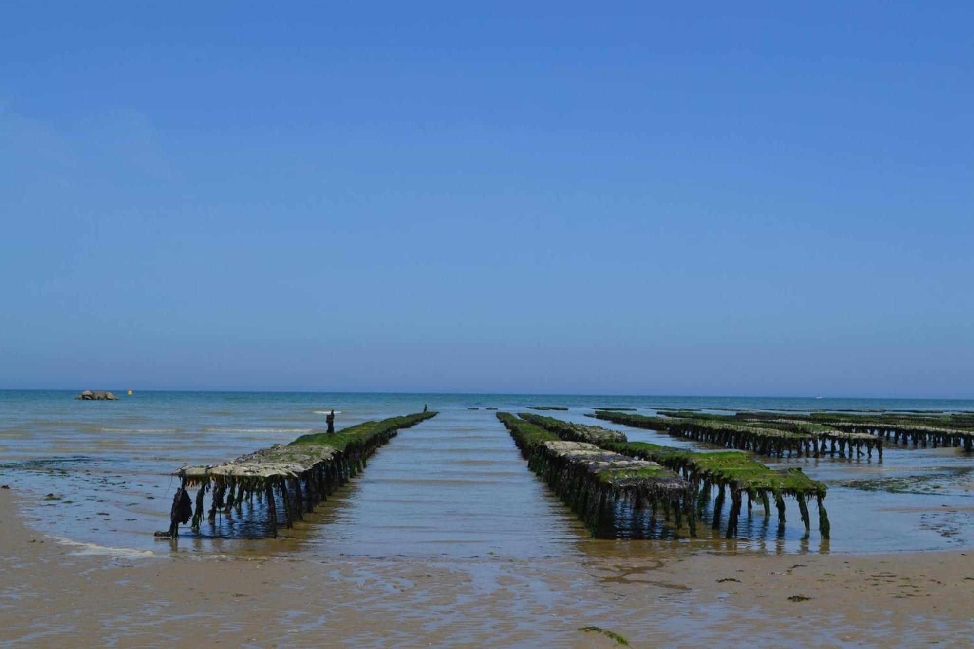 Maison Renovee En Pierres Sejour Spacieux Avec Jardin Et Terrasse Amenagee Pres Omaha Beach & Bayeux A 5Mn De La Mer Tous Commerces Commes ภายนอก รูปภาพ